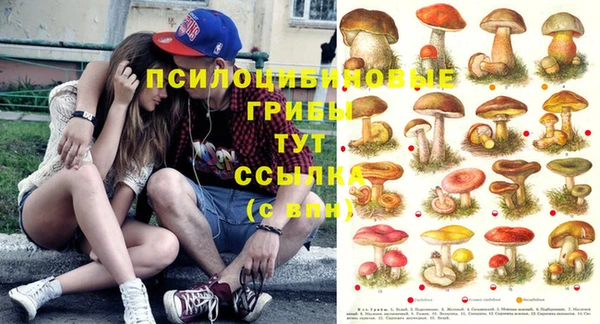 мет Алексеевка