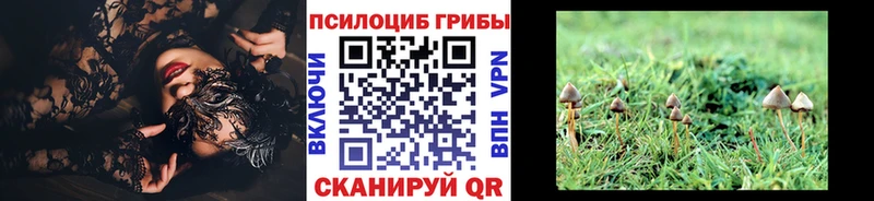 Галлюциногенные грибы ЛСД Андреаполь